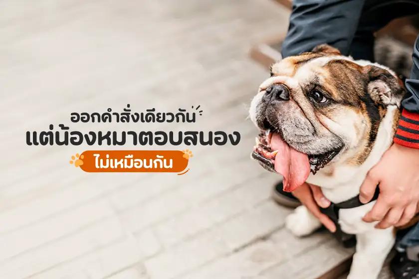 ออกคำสั่งเดียวกัน แต่น้องหมาตอบสนองไม่เหมือนกัน