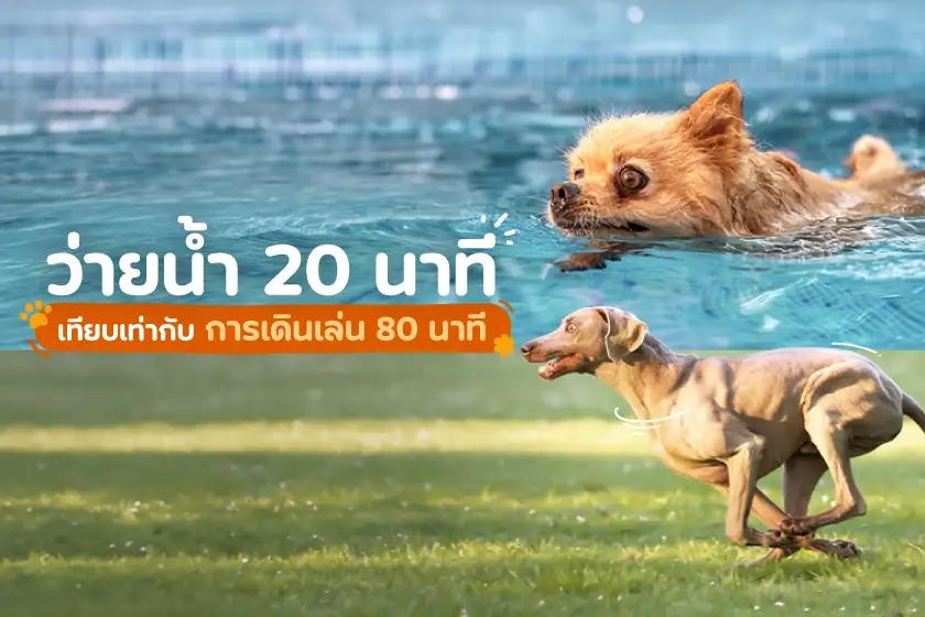 ว่ายน้ำ 20 นาที เทียบเท่ากับการเดินเล่น 80 นาที