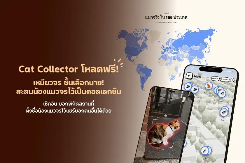 Cat Collector โหลดฟรี! สะสมน้องแมวจรไว้เป็นคอลเลกชัน