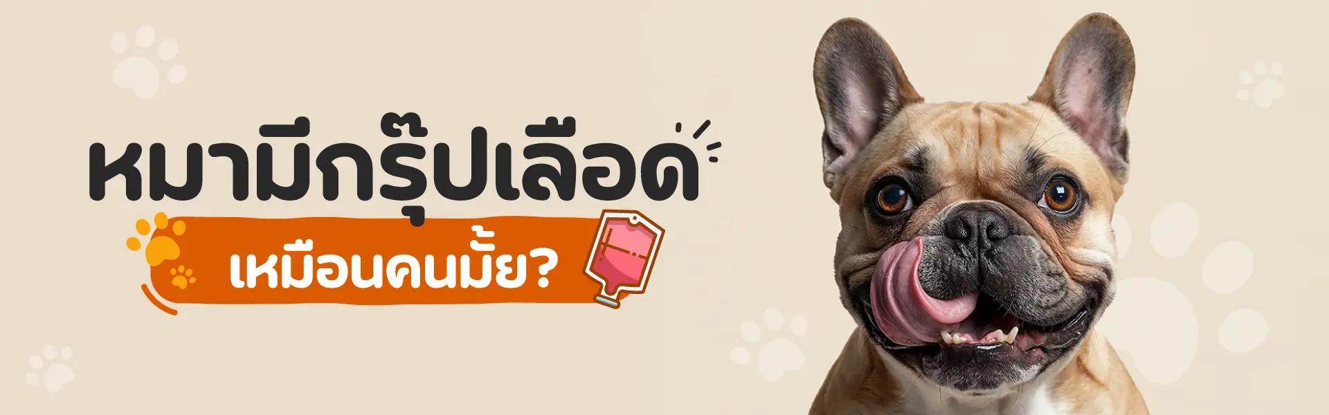 Article Banner