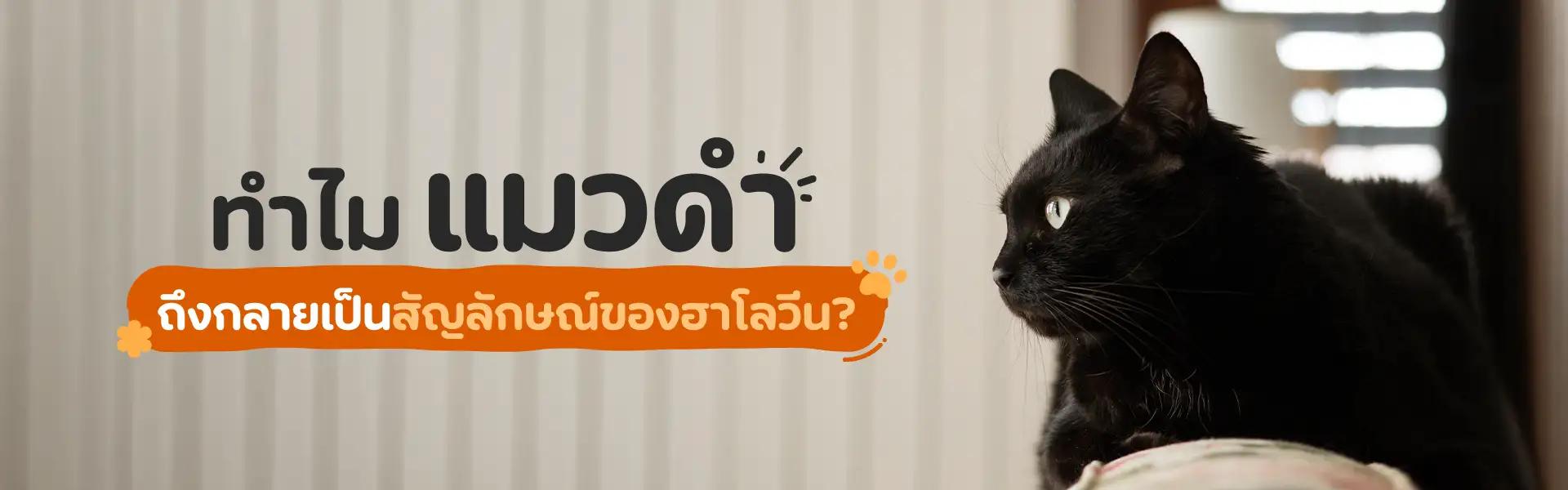 Article Banner