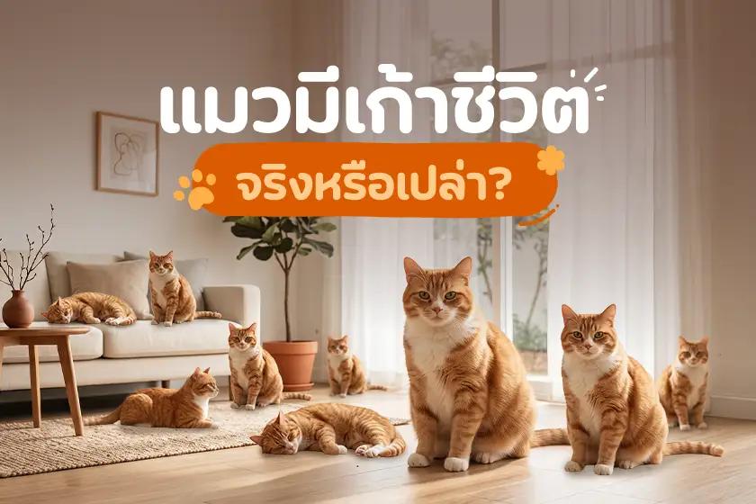 แมวมีเก้าชีวิต จริงหรือเปล่า?