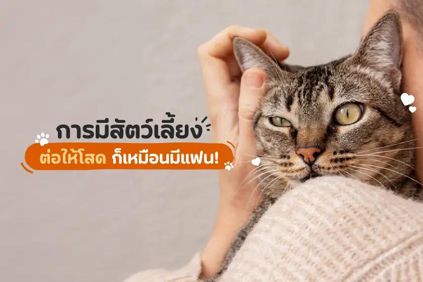 การมีสัตว์เลี้ยง ต่อให้โสดก็เหมือนมีแฟน!