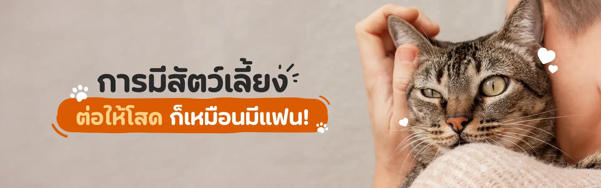 Article Banner