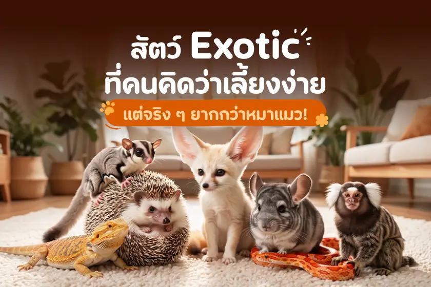 สัตว์ Exotic ที่คนคิดว่าเลี้ยงง่าย แต่จริง ๆ ยากกว่าหมาแมว!