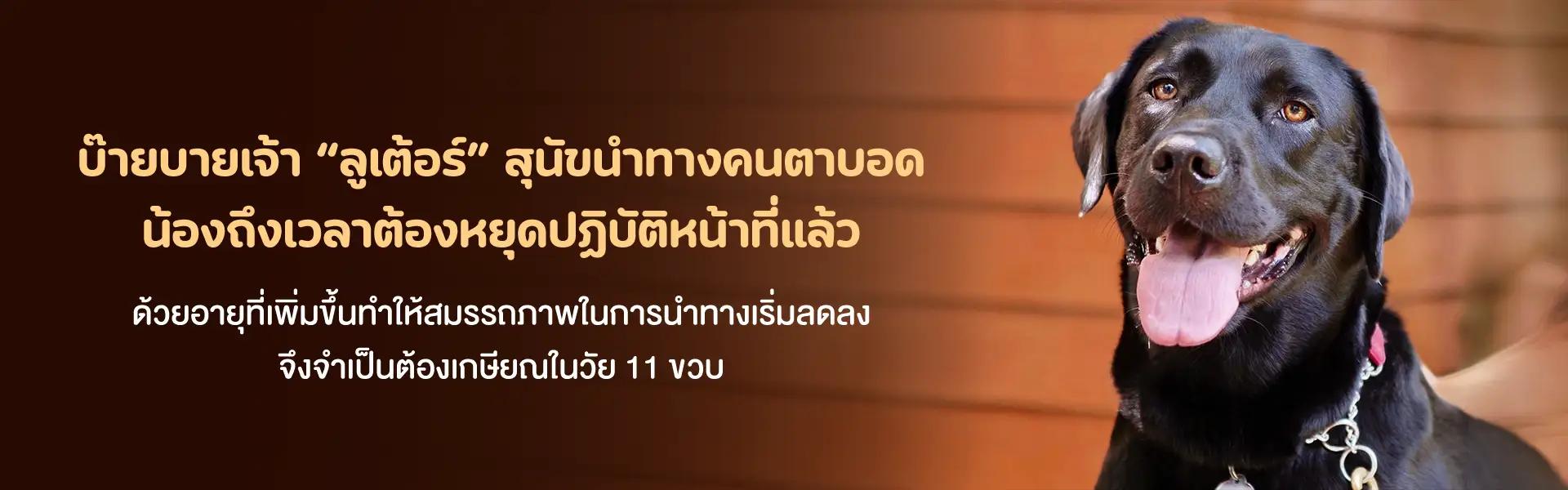 Article Banner