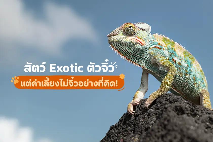 สัตว์ Exotic ตัวจิ๋ว แต่ค่าเลี้ยงไม่จิ๋วอย่างที่คิด!