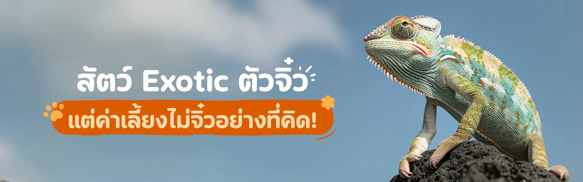 Article Banner