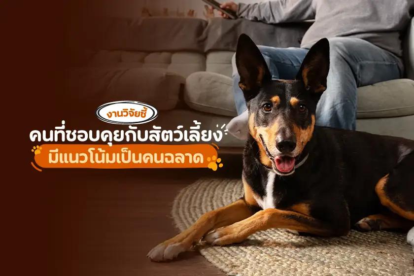 งานวิจัยชี้ คนที่ชอบคุยกับสัตว์เลี้ยง มีแนวโน้มเป็นคนฉลาด