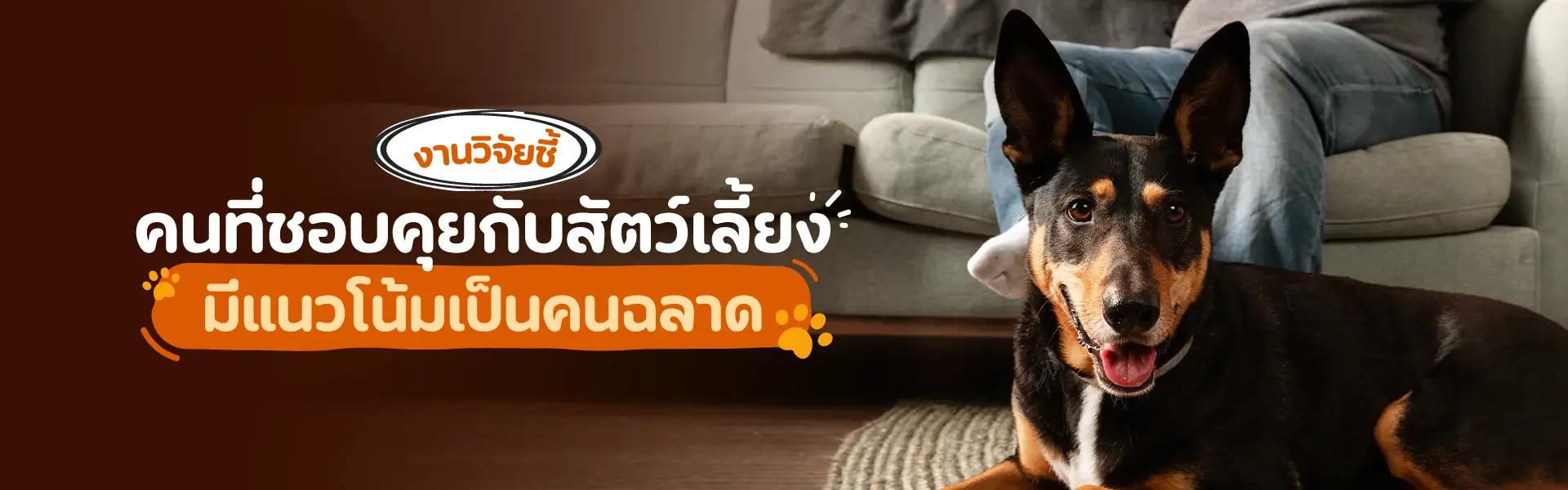 Article Banner