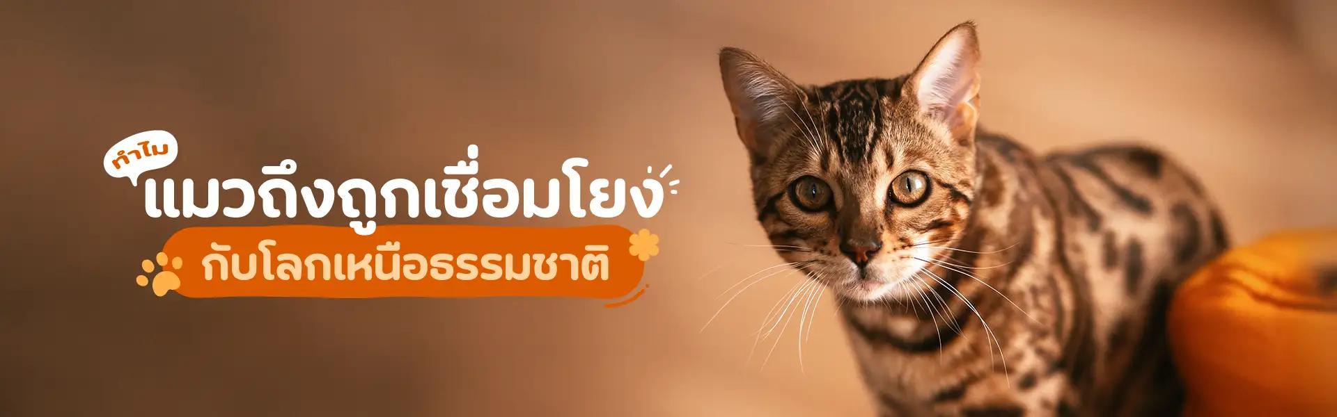 Article Banner
