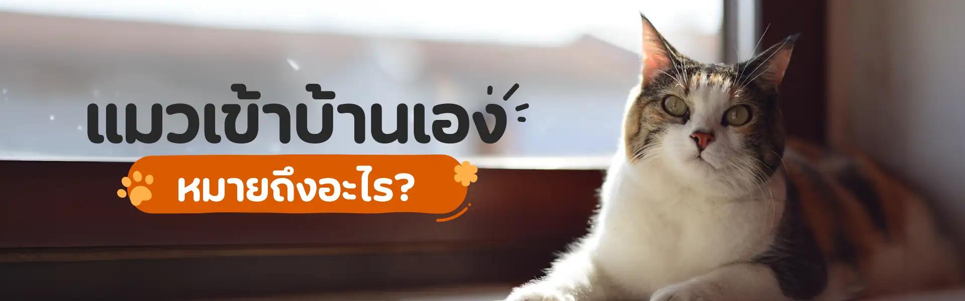 Article Banner