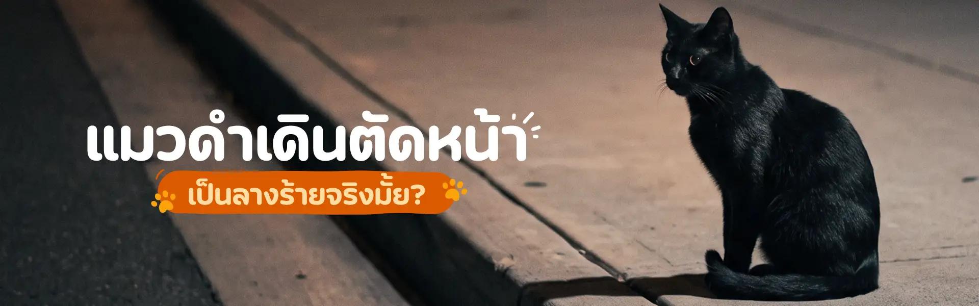 Article Banner