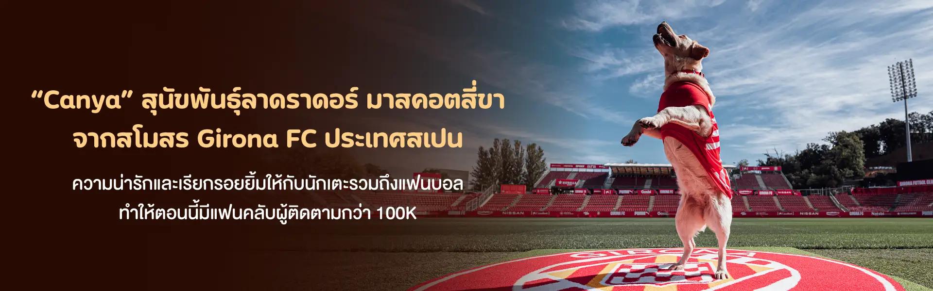 Article Banner