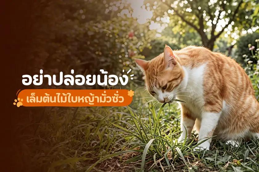 อย่าปล่อยให้น้องเล็มต้นไม้ใบหญ้ามั่วซั่ว!