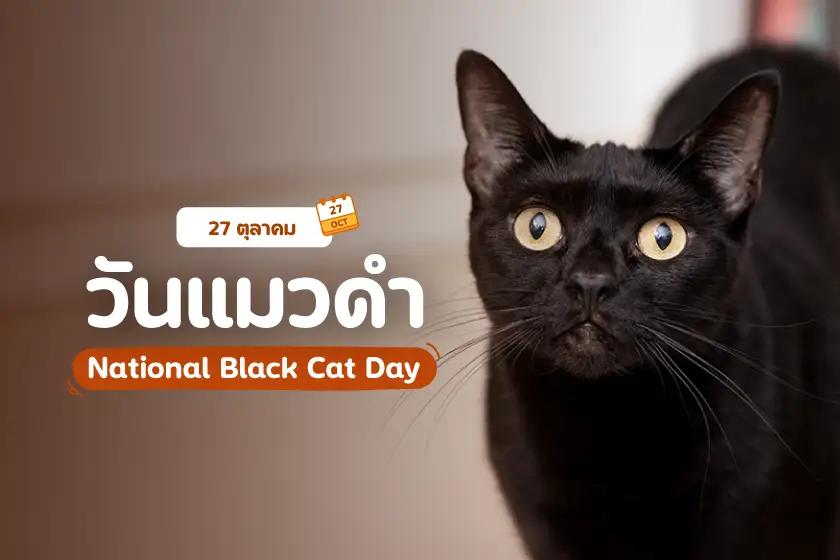 27 ตุลาคม วันแมวดำ