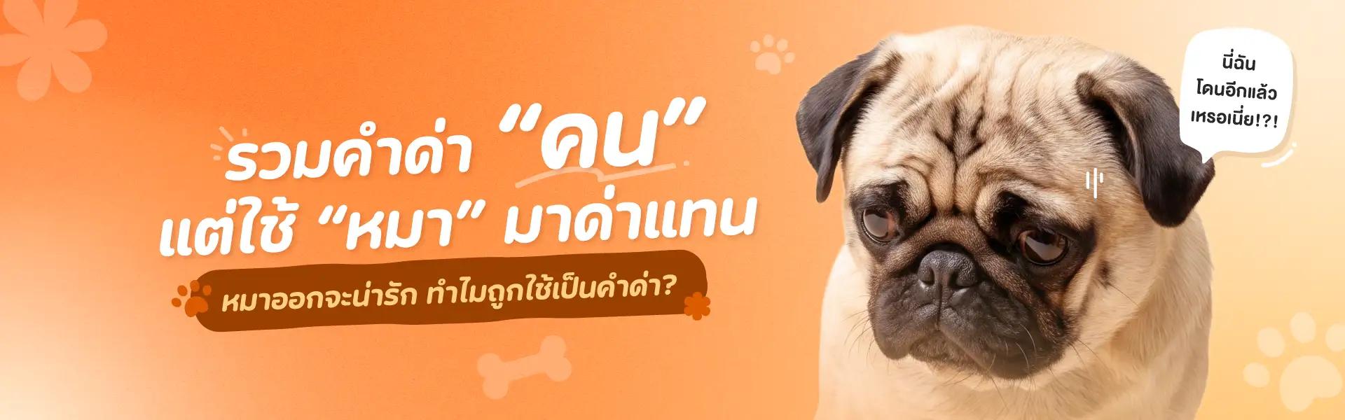 Article Banner