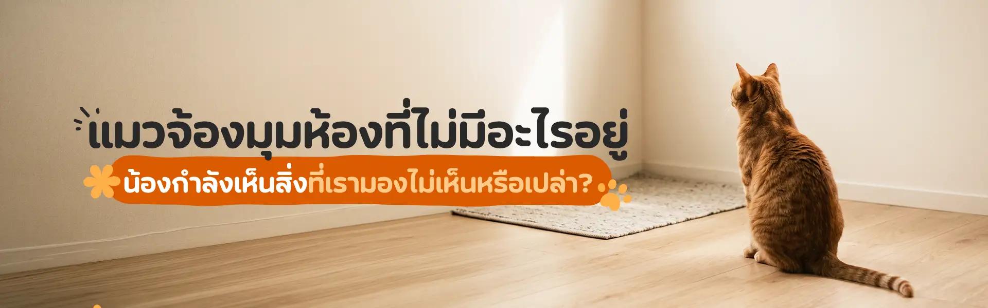 Article Banner
