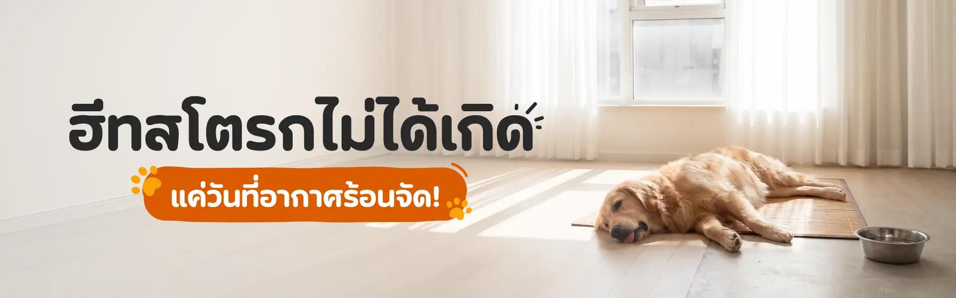 Article Banner