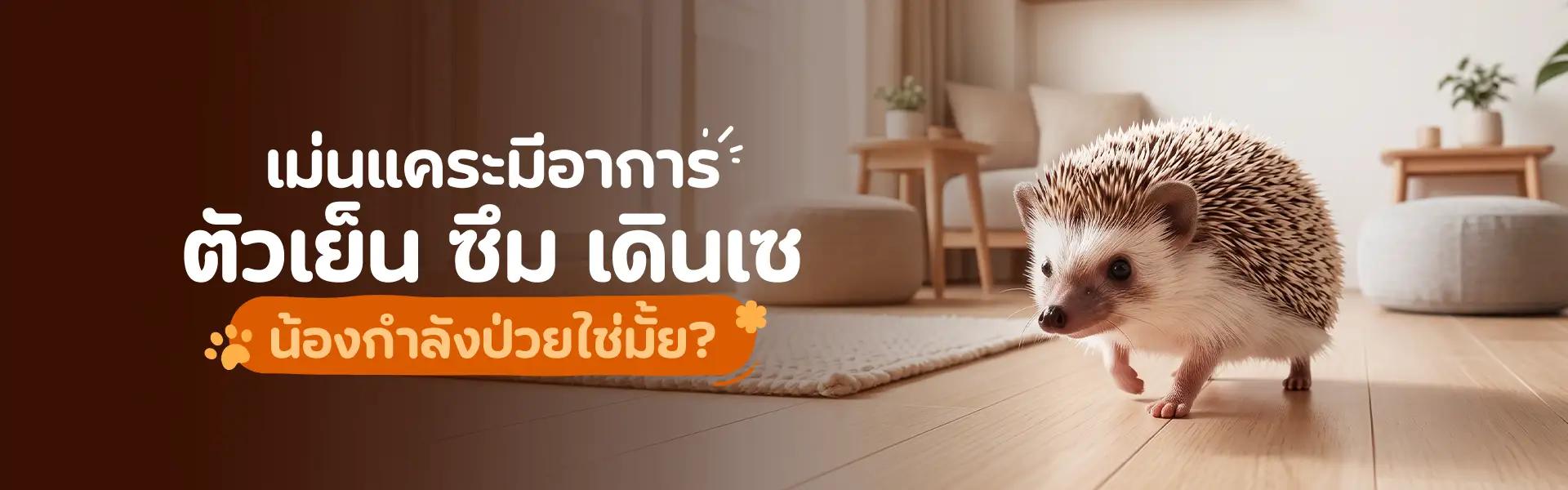 Article Banner