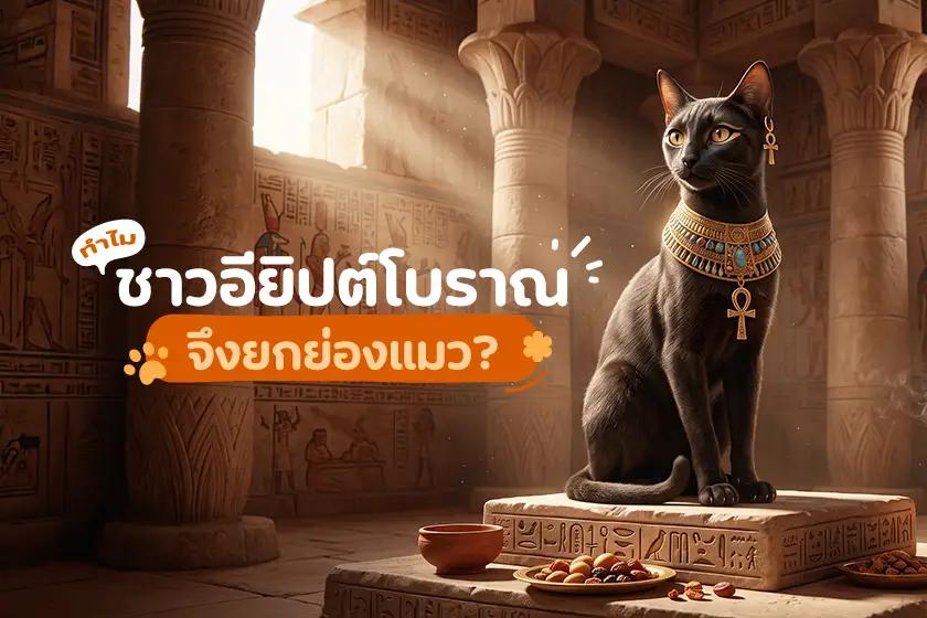 ทำไมชาวอียิปต์โบราณจึงยกย่องน้องแมว