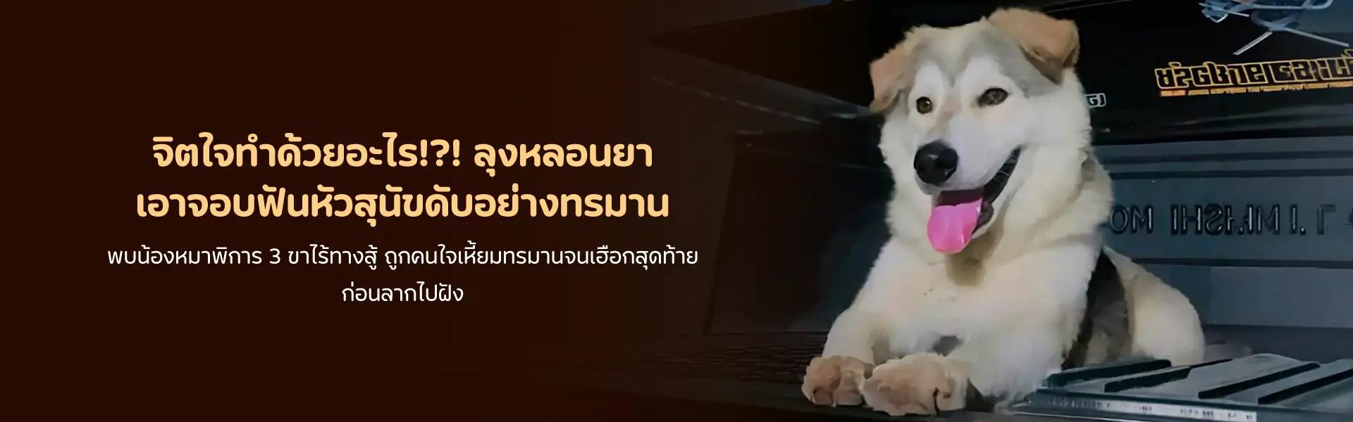 Article Banner
