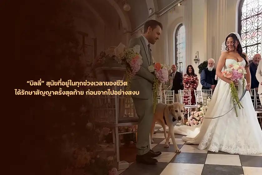บิลลี่ สุนัขที่อยู่ในทุกช่วงเวลาของชีวิต ได้รักษาสัญญาครั้งสุดท้าย ก่อนจากไปอย่างสงบ