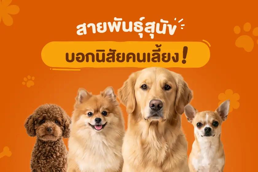 สายพันธุ์สุนัข บอกนิสัยคนเลี้ยง!