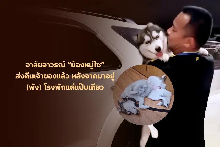 อาลัยอาวรณ์น้องหมู่ไซ ส่งคืนเจ้าของแล้ว หลังจากมาอยู่ (พัง) โรงพักแค่แป๊บเดียว