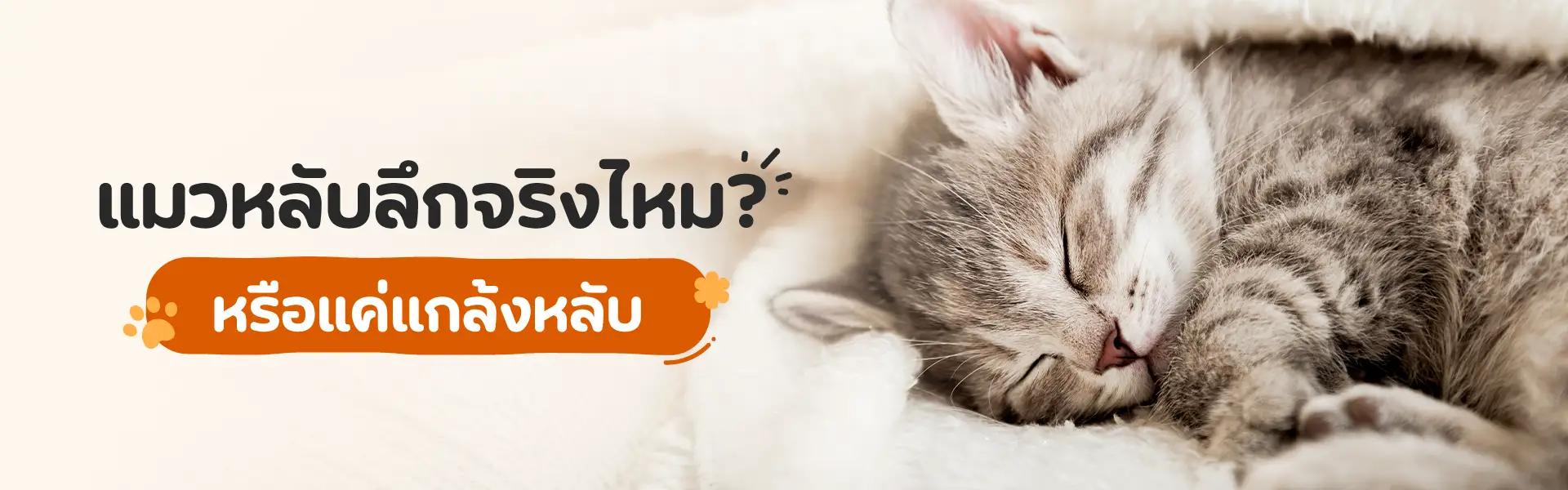Article Banner