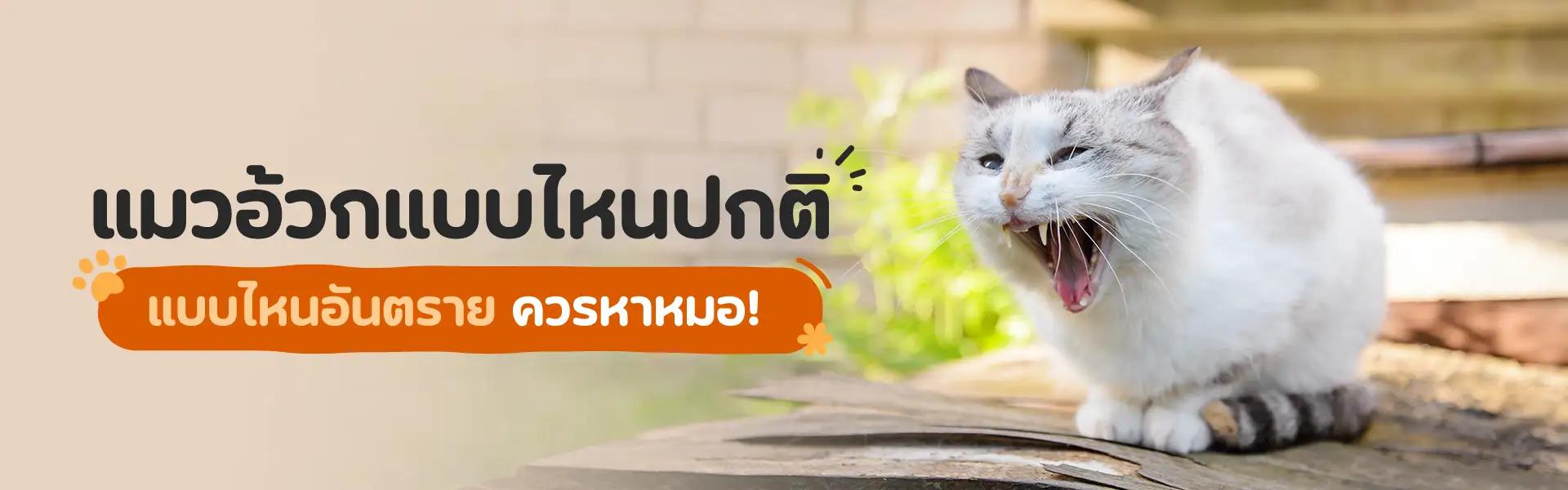 Article Banner