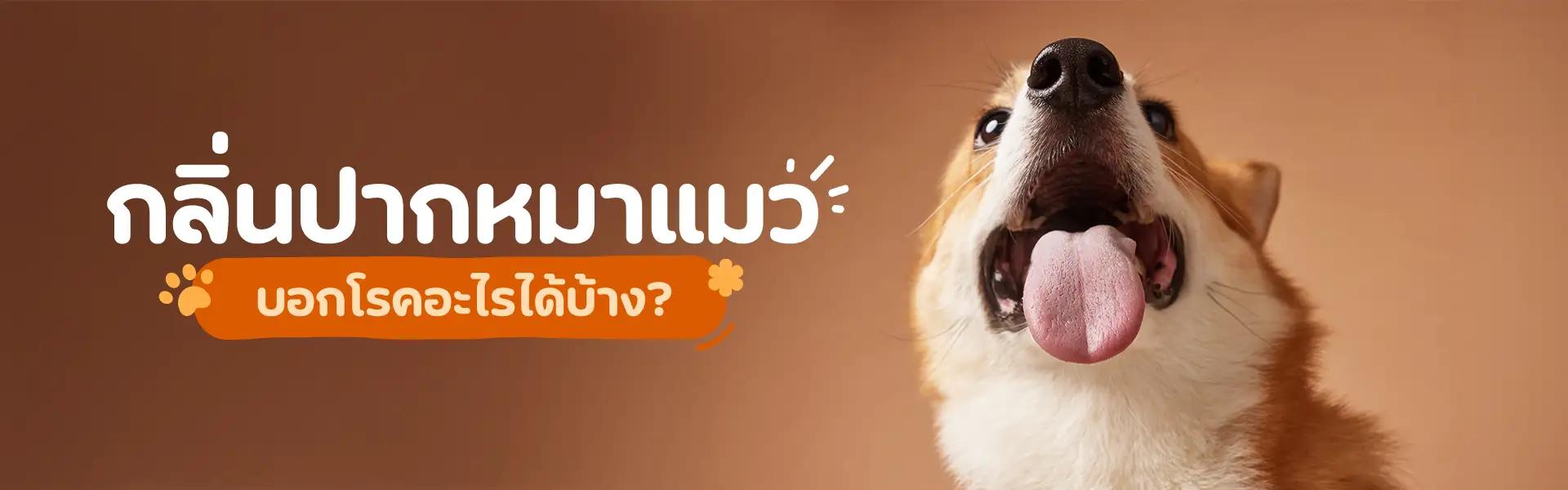 Article Banner