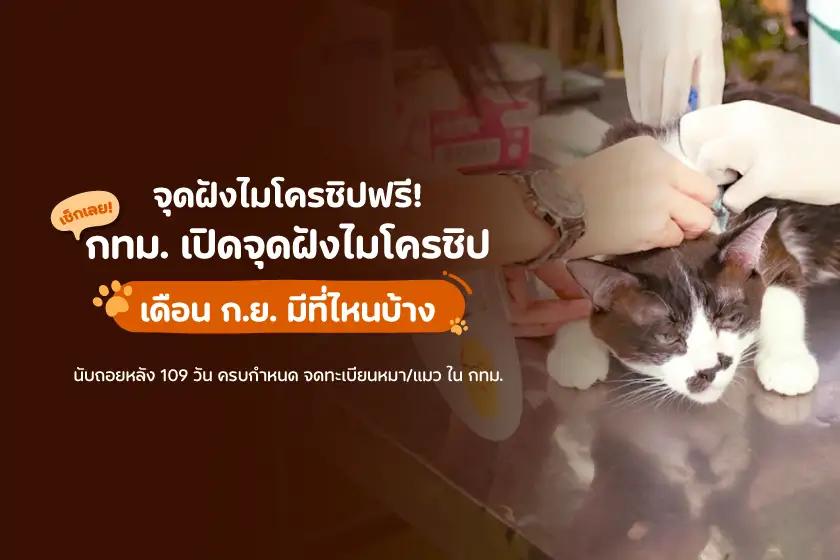 เช็กเลย! กทม. เปิดจุดฝังไมโครชิป เดือน ก.ย. มีที่ไหนบ้าง