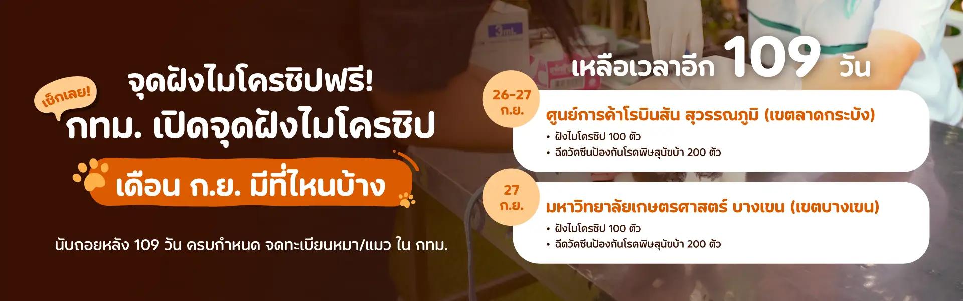 Article Banner