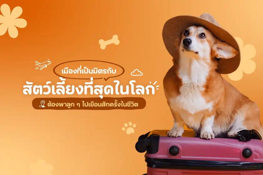 เมืองที่เป็นมิตรกับสัตว์เลี้ยงที่สุดในโลก ต้องพาลูก ๆ ไปเยือนสักครั้งในชีวิต