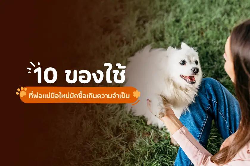 10 ของใช้ที่พ่อแม่มือใหม่มักซื้อเกินความจำเป็น