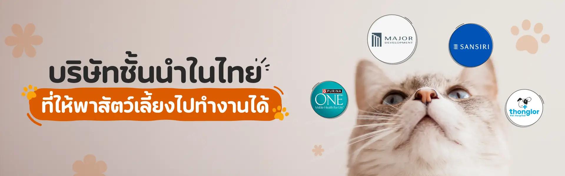 Article Banner
