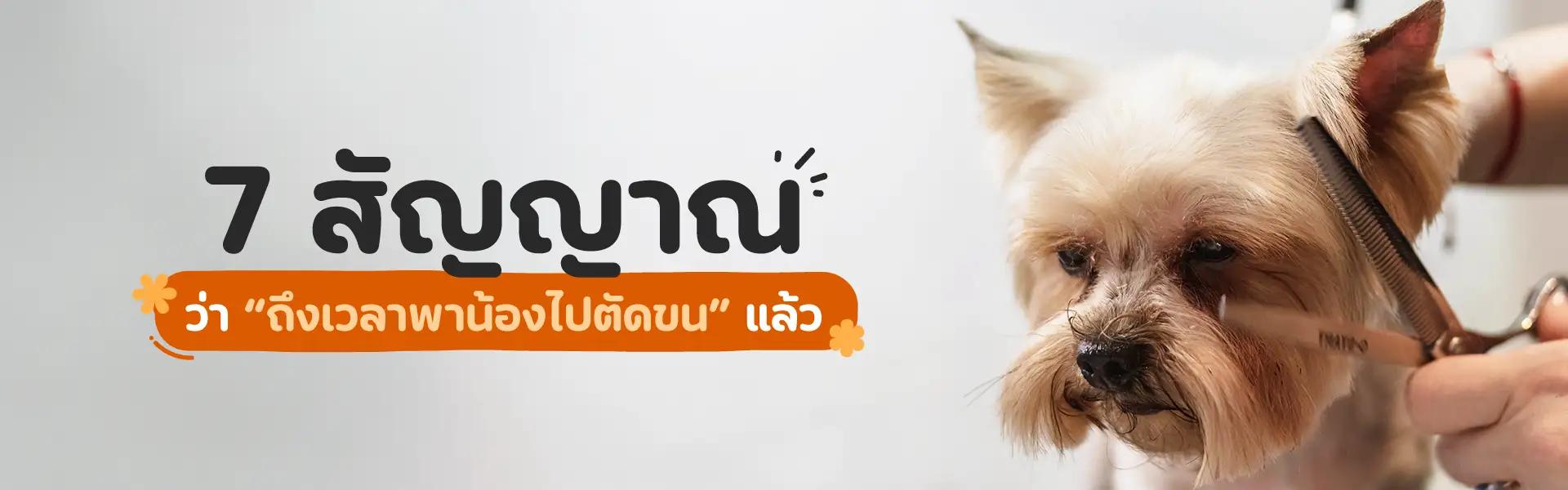 Article Banner