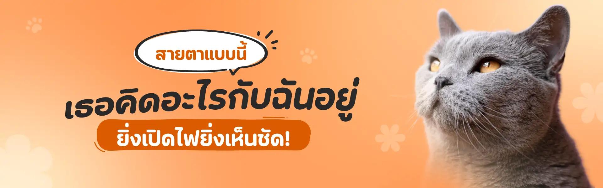 Article Banner