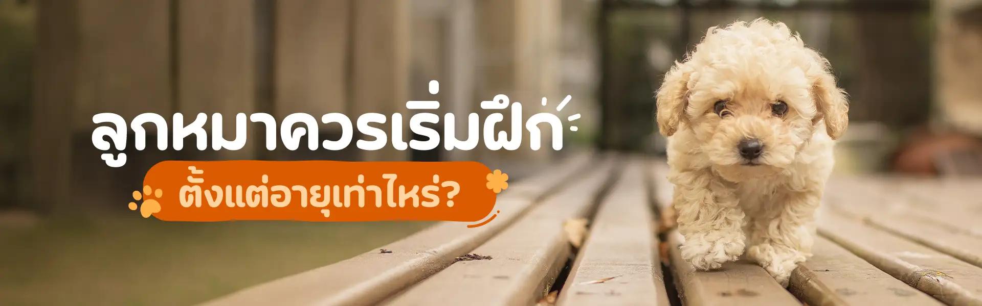 Article Banner
