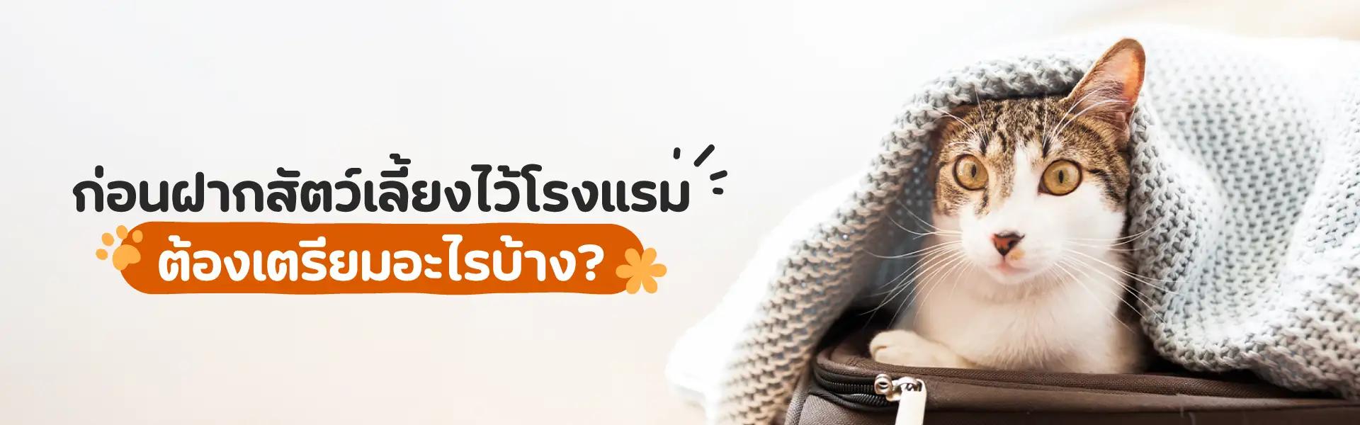 Article Banner