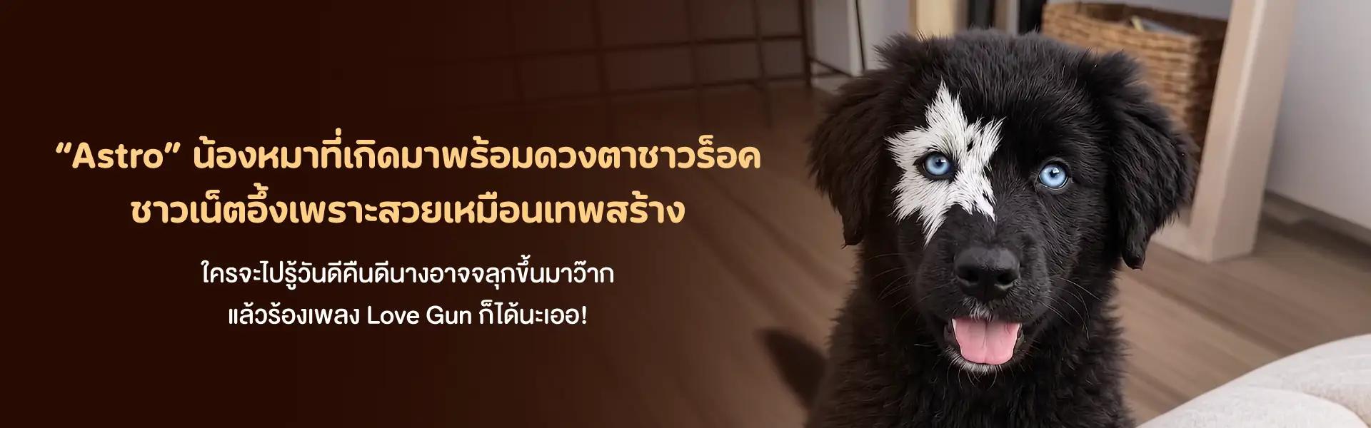 Article Banner