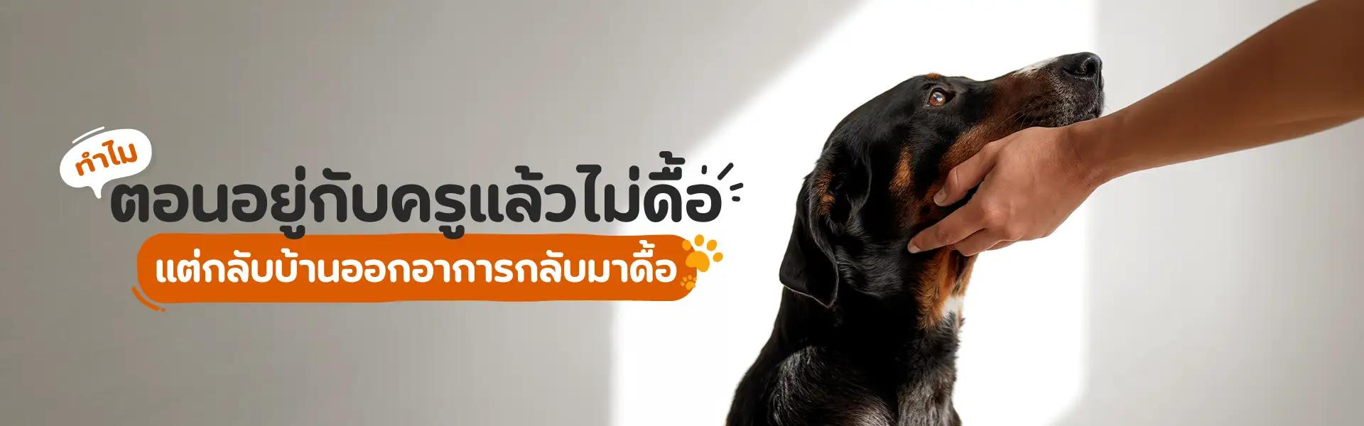 Article Banner