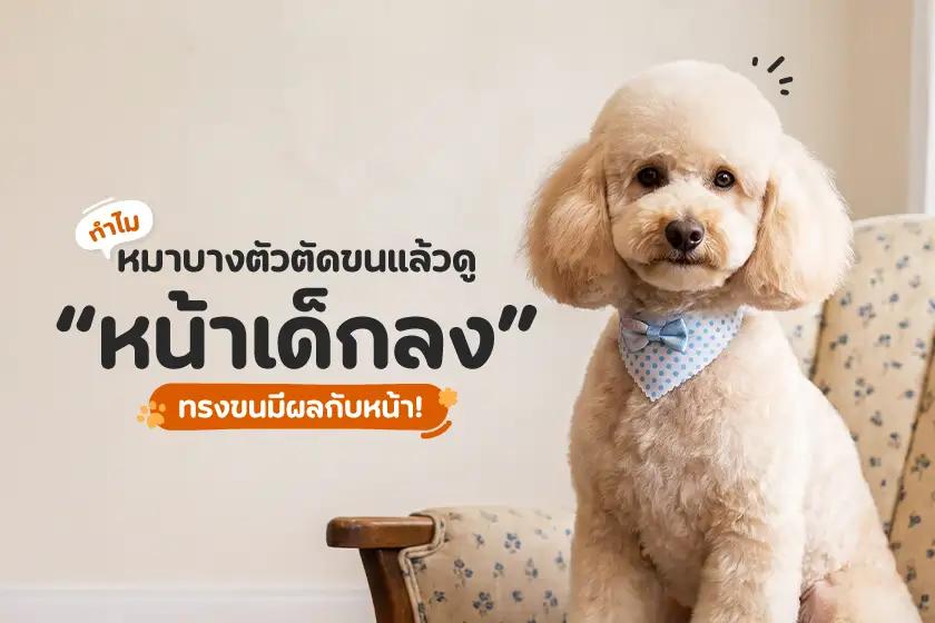 Article Banner
