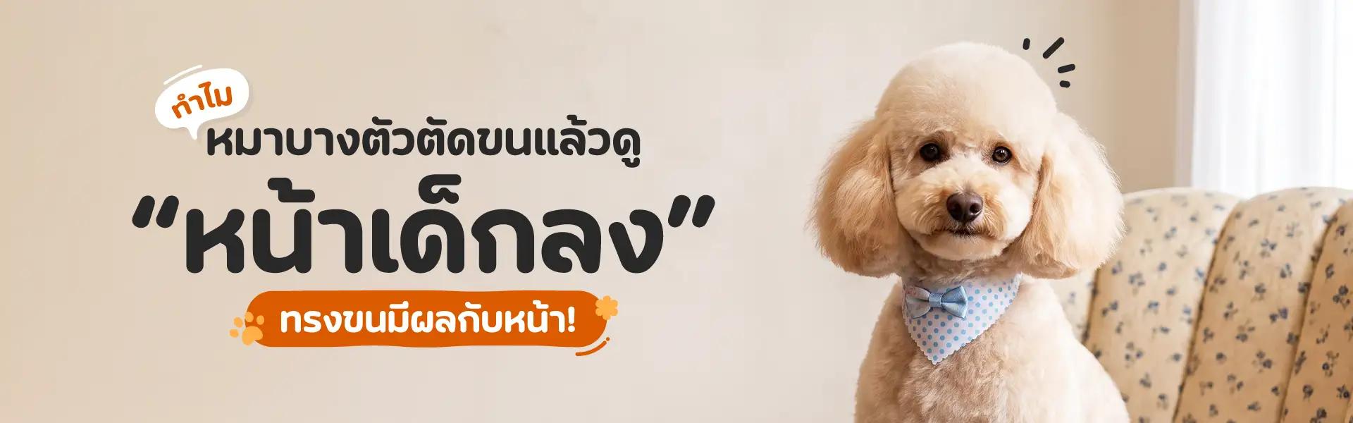 Article Banner