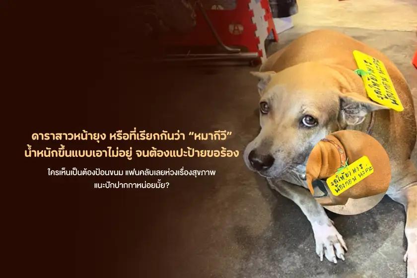 ดาราสาวหน้ายุง หรือที่เรียกกันว่าหมากีวี น้ำหนักขึ้นแบบเอาไม่อยู่ จนต้องแปะป้ายขอร้อง