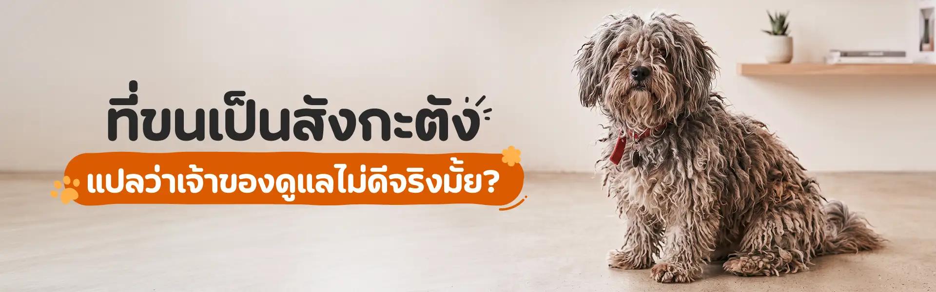 Article Banner