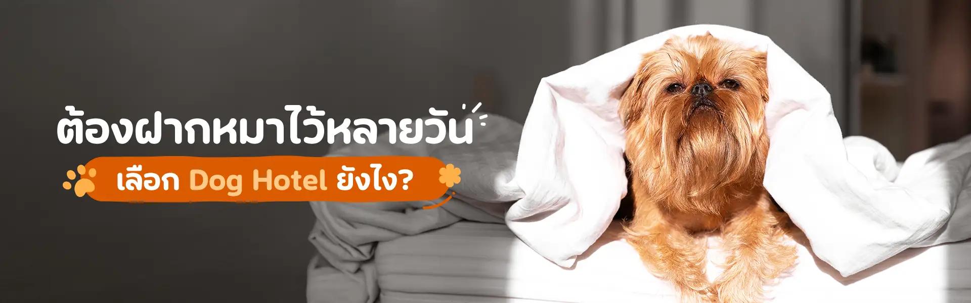 Article Banner