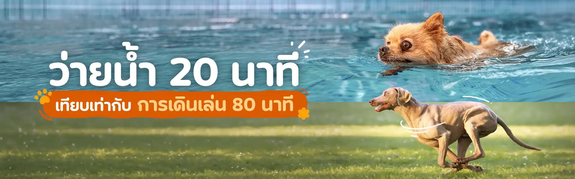 Article Banner
