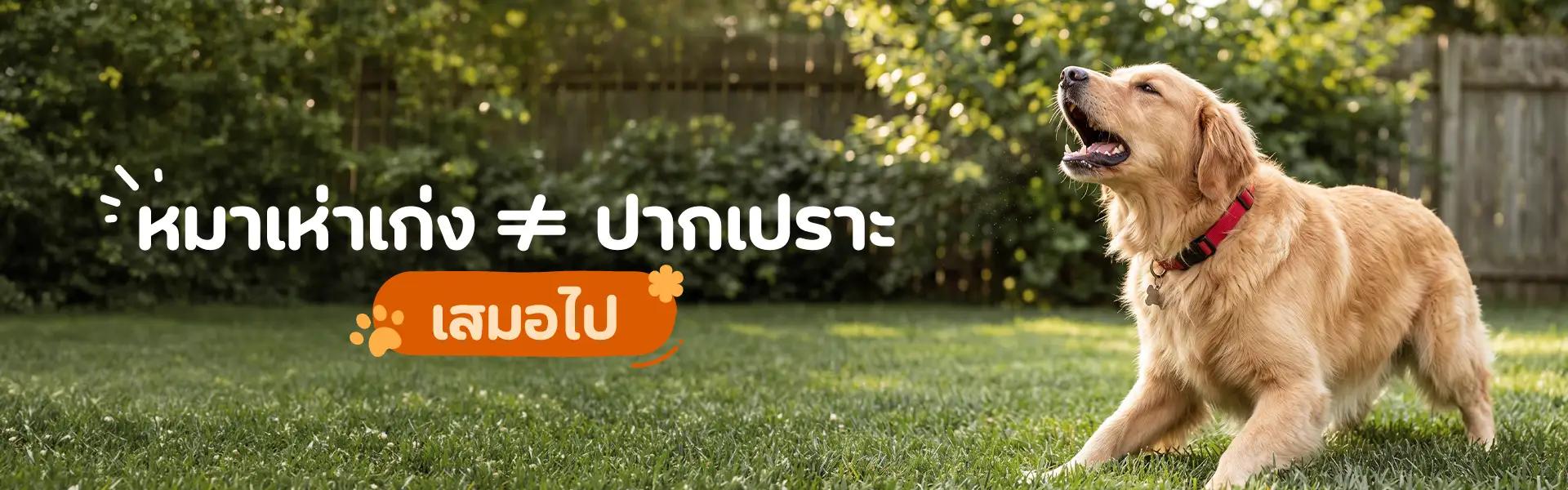 Article Banner
